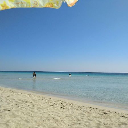 Casa Dei Filodendri Apartment San Pietro in Bevagna Ngoại thất bức ảnh