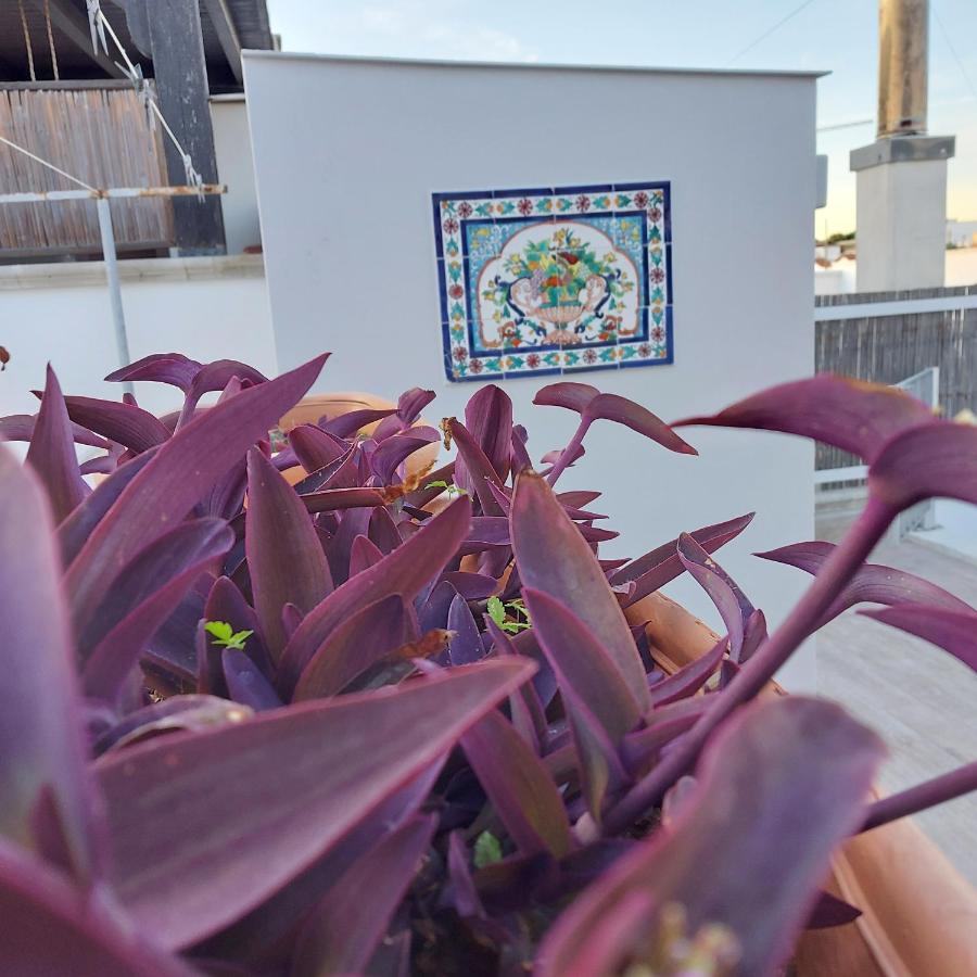 Casa Dei Filodendri Apartment San Pietro in Bevagna Phòng bức ảnh